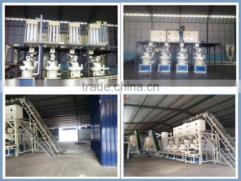 Thailand Palm Bunch Wood Pellet Making Machine Price,Pellet Output 1-1.5t/h