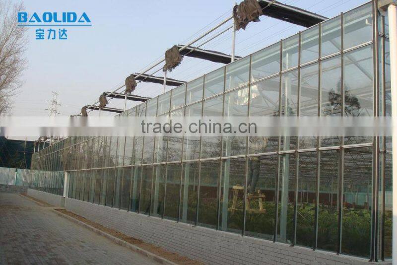High Quality Multi Span Tempered Glass Covered Greenhouse For Agriculture