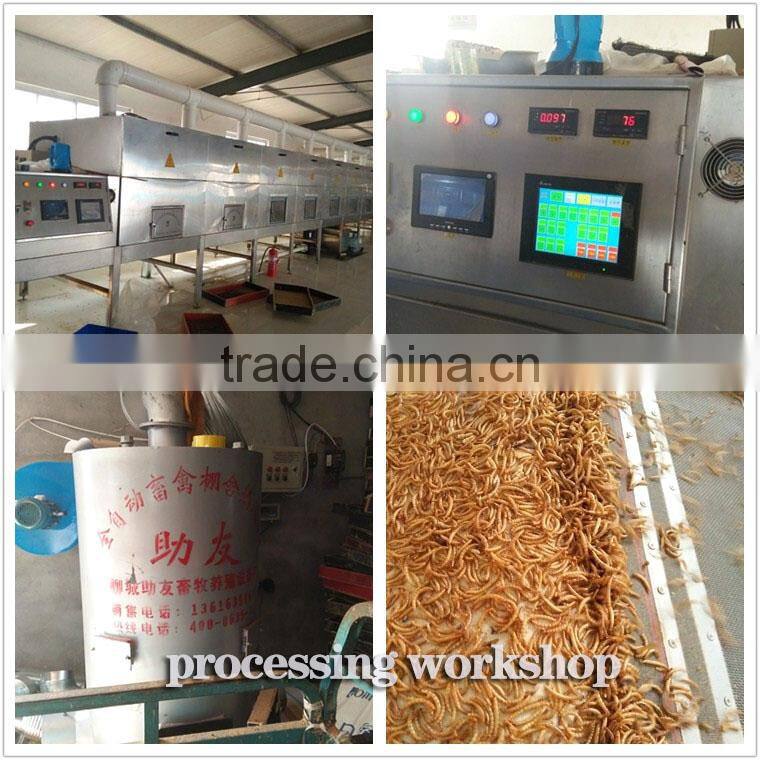 dried mealworms with best quality and reseasonable price