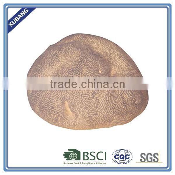 Coral stone garden lamp for decoration