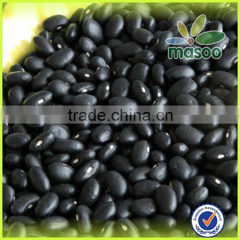 2014 crop Dry Black Kidney Beans or Black Beans