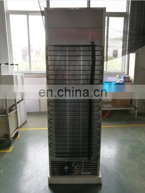 glass door deep Vertical freezer with locking door