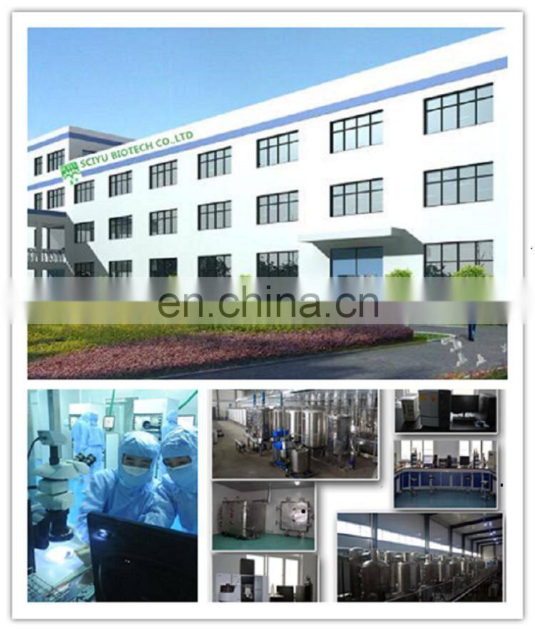 Health Care Product Cordyceps Powder Cordyceps Extract Polysaccharide 20%-50%