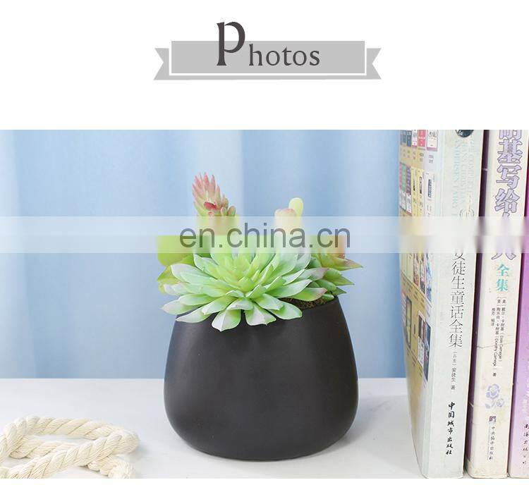 Home Garden Decorations Plastic Flower Wholesale Cute Pots Assorted Artificial Succulents With Black Pot