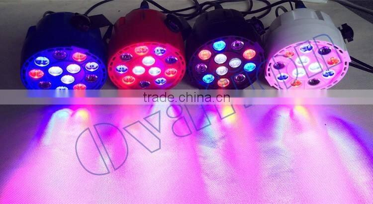 Mini dj lights LED par for home party
