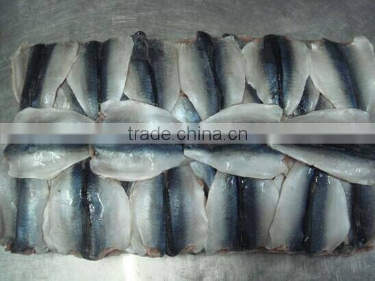 frozen seafish pacific mackerel scomber flaps/fillets