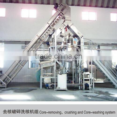 Fruit juice & fruit jam & fruit chips processing machine with HACCP&ISO9001