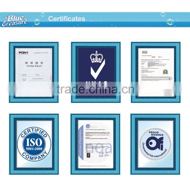 Aquaculture sea salt inflatable frozen live lobster clasp