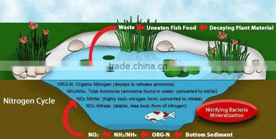 all-in-one koi pond filter system