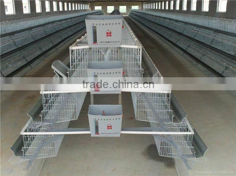 Commerial automatic chicken cage
