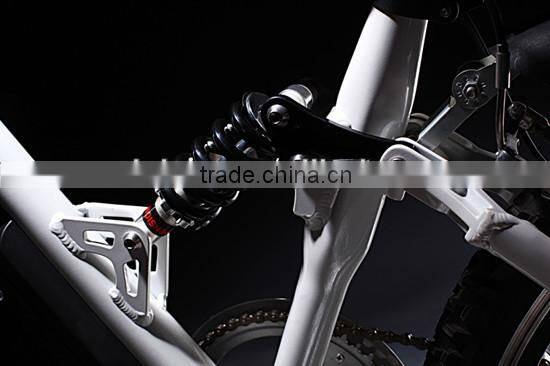 Adult mountain electric bikes (Model MTB300U)
