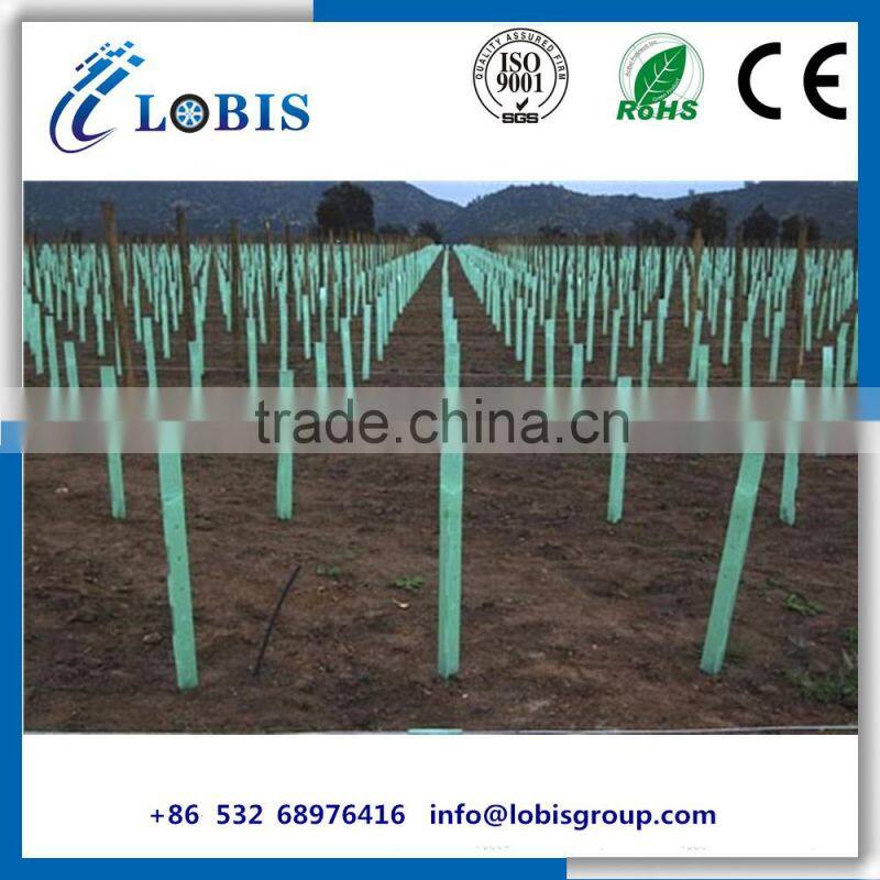 3mm corflute plant guard,tree shelter,vine wrap,tree guard