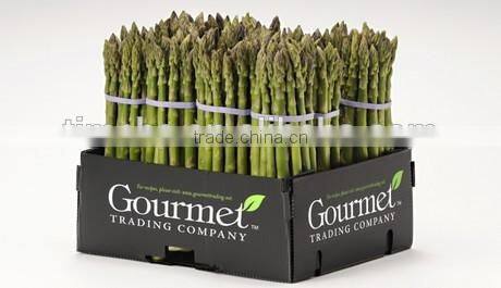 PP Protective Asparagus Packing Boxes