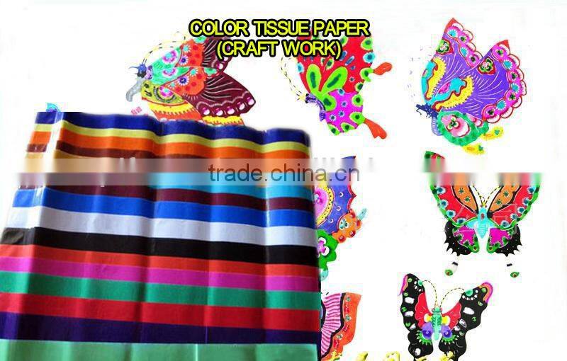 color tissue paper roll plant