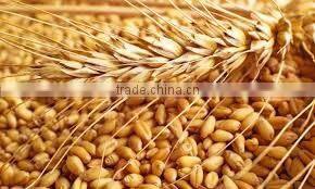 wheat flour milling machine
