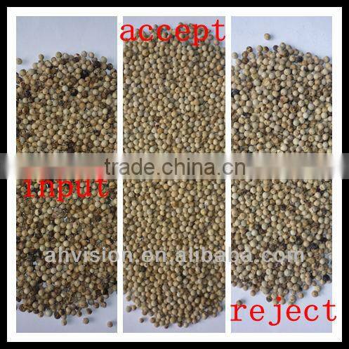 kidney Beans ccd camera color sorter machine