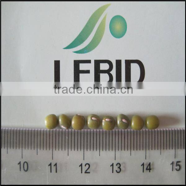 Green Mung Beans 2016 Crop Wholesale Best Quality