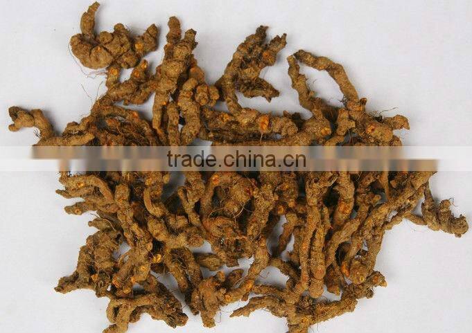 GMP Factory Supply High Quality Berberine Hydrochloride Extract