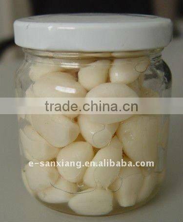 new season garlic in brine