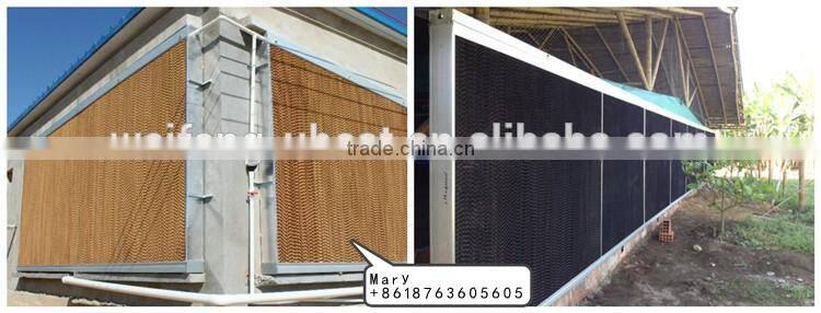 Automatic chicken feeding equipment for broilers