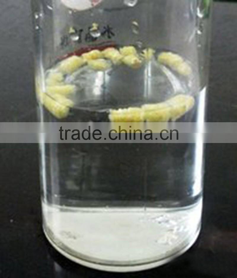 Automatic fish feed machine/Pet feed machine