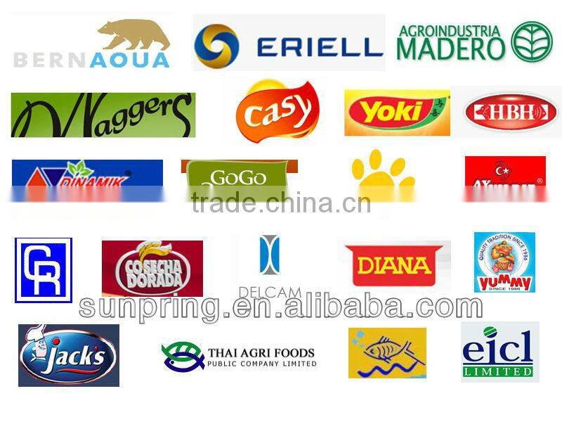 Corn flakes breakfast cereal production line