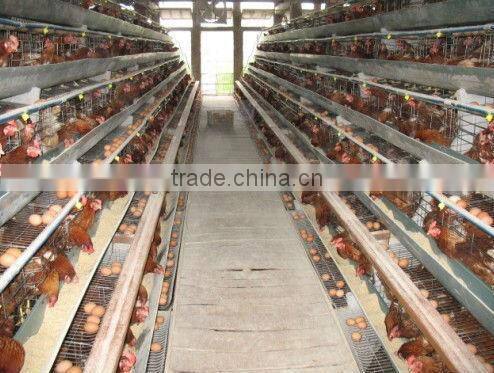 Layer cages/Chicken layer cages/ Laying chicken cages