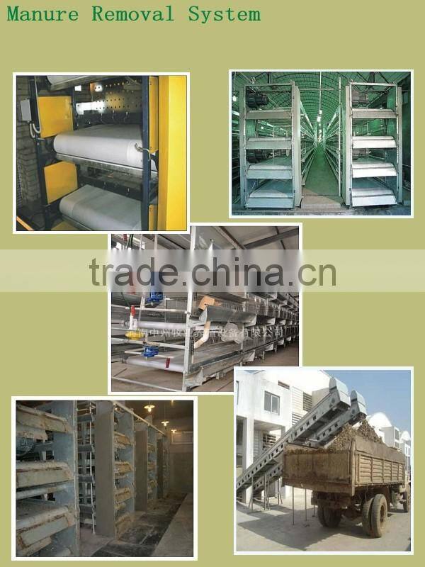 produced by professional manufacturer auto broiler chicken cage