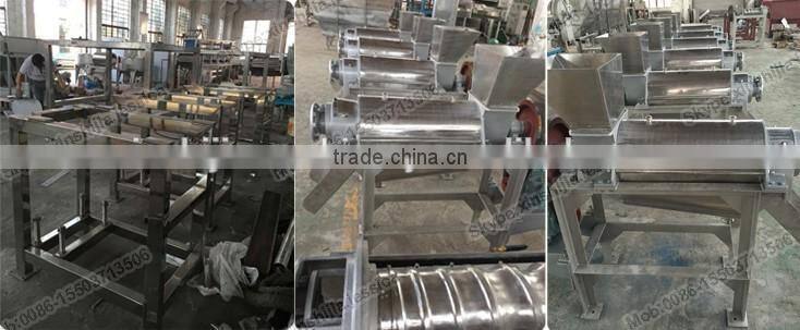 Commercial stainless steel fruit juice extractor