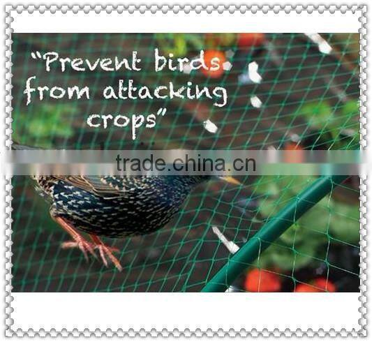 fishing nets Japanese,Nylon Monofilment Fishing the Net 0.12mm-1.5mm), fish cobia net pe pesca material fishing trasmallo pesca