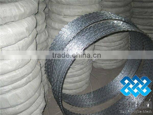 Razor barbed wire / Hot dip Galvanized razor barbed wire