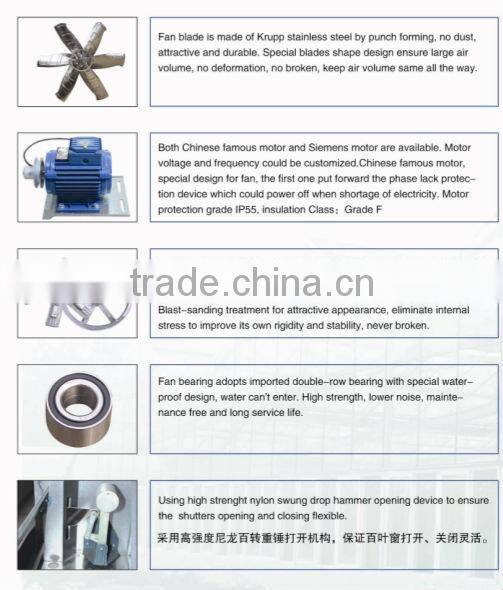 DLF Poultry/Greenhouse industrial exhaust fan
