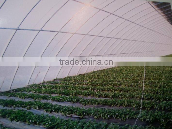 Removable vegetables greenhouse