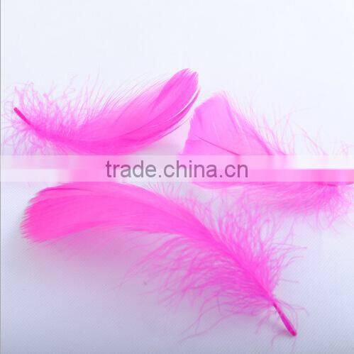 cosplay colorful feather wings