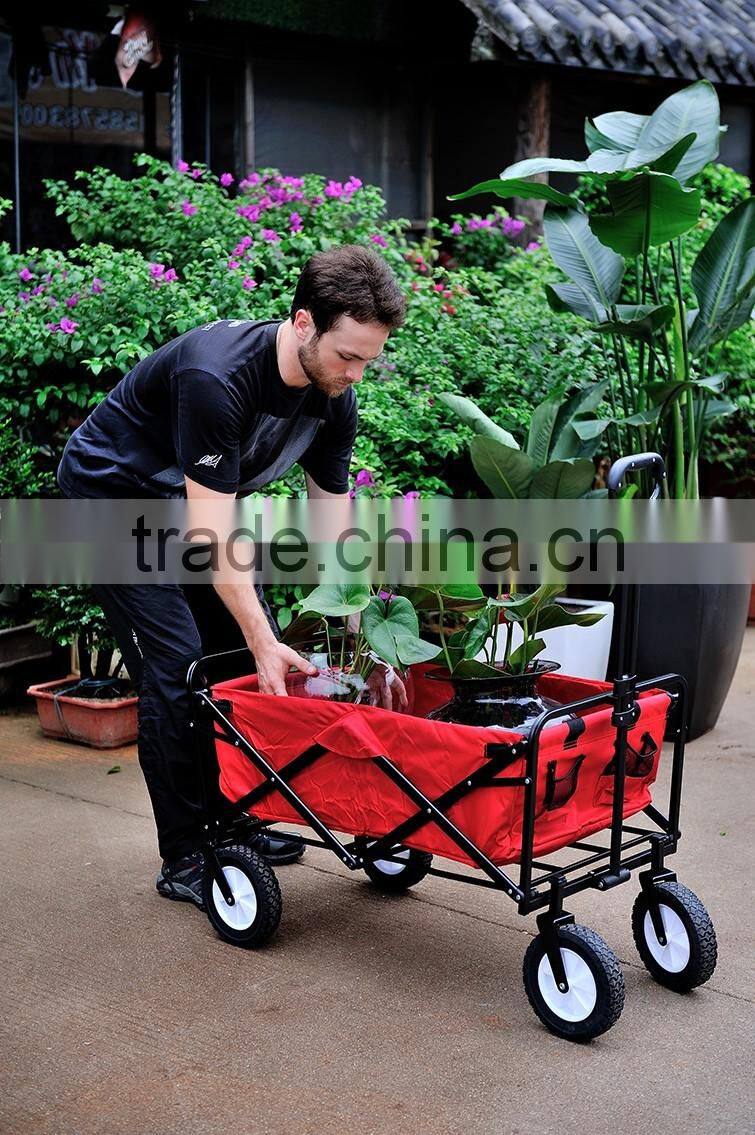 Picnic/Shopping Cart