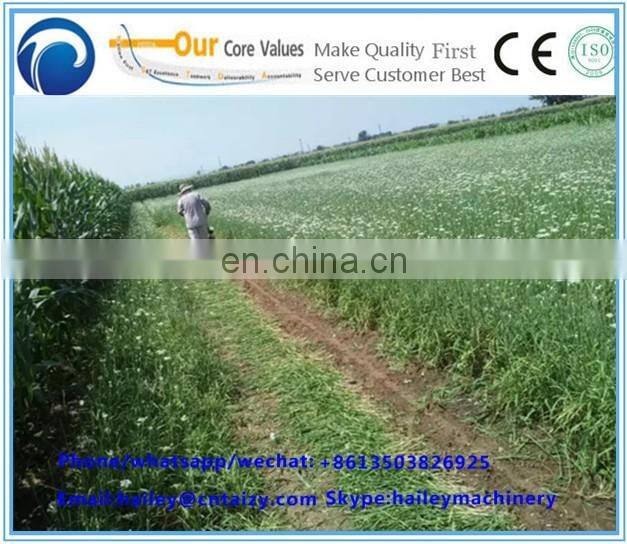 Taizy Chinese chives havesting machine leek/celery harvester machine for sale