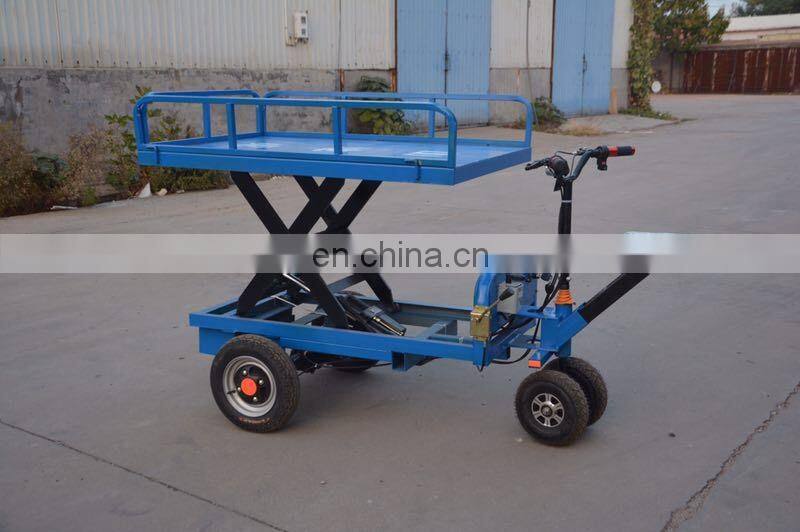 Small electric trolley/ Electric plate transporter /Garden Storage Cart