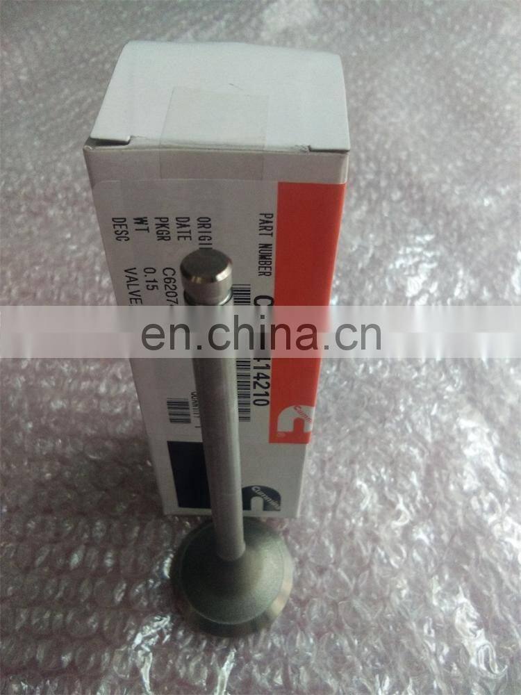4B3.3 intake and exhaust Valve 6207414110