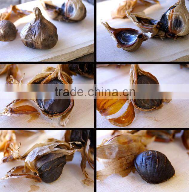 Good Vegetable Product from China Black Garlic