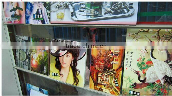 Latest!!!Flora uv flatbed printer F1 320 UV printing in glass industry