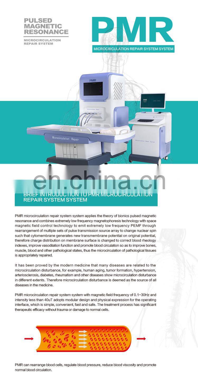 Bionic Pulse Magnetic Fatigue Relief With Magnetic Therapy Portable Medical Instrument