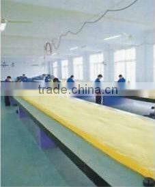 Camping single dome tent