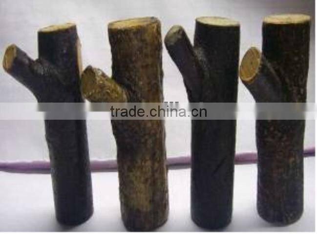 Hot selling promotional gifts Wooden Usb Drive 2.0