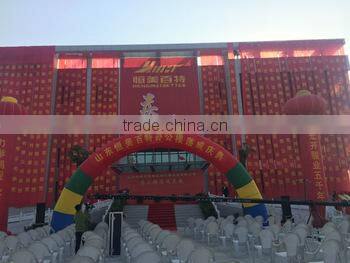 Widely used biomass burner from china