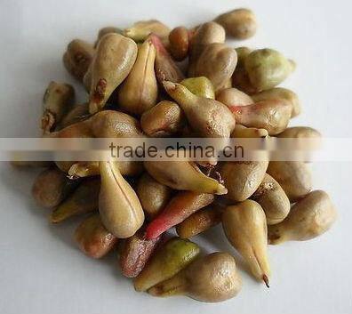 GMP 95% proanthocyanidine grape seed extract (high orac value)