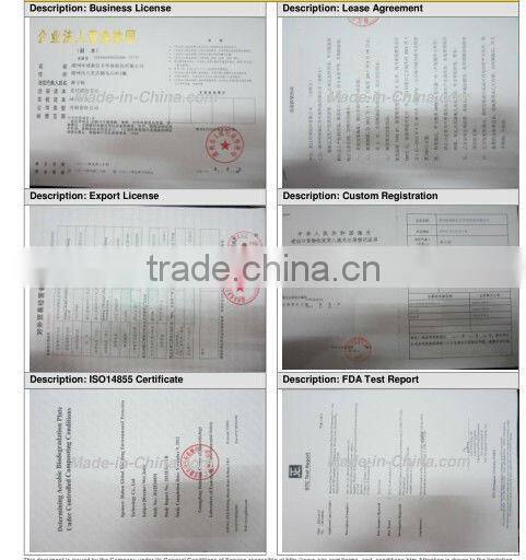 disposable three compartment plate 10 inch