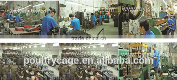 Hot Sale Decorative Large Chinese Metal Bird Cage (wholesale,good quality,Made in China)