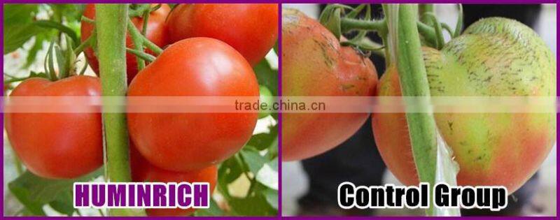 Huminrich High Active Potassium Humic Acid Looking For Agent In Egypt