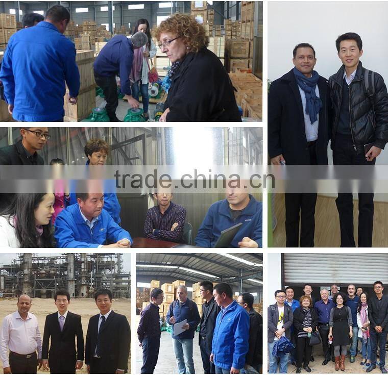 FSB energy saving electric motor chemical circulating pump