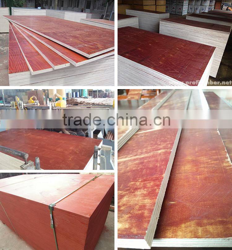 Competitive Prices for 18mm Construction Plywood